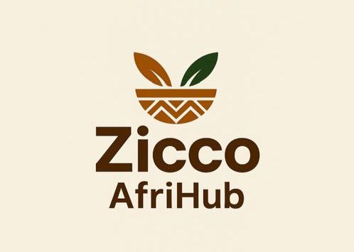 Zicco AfriHub